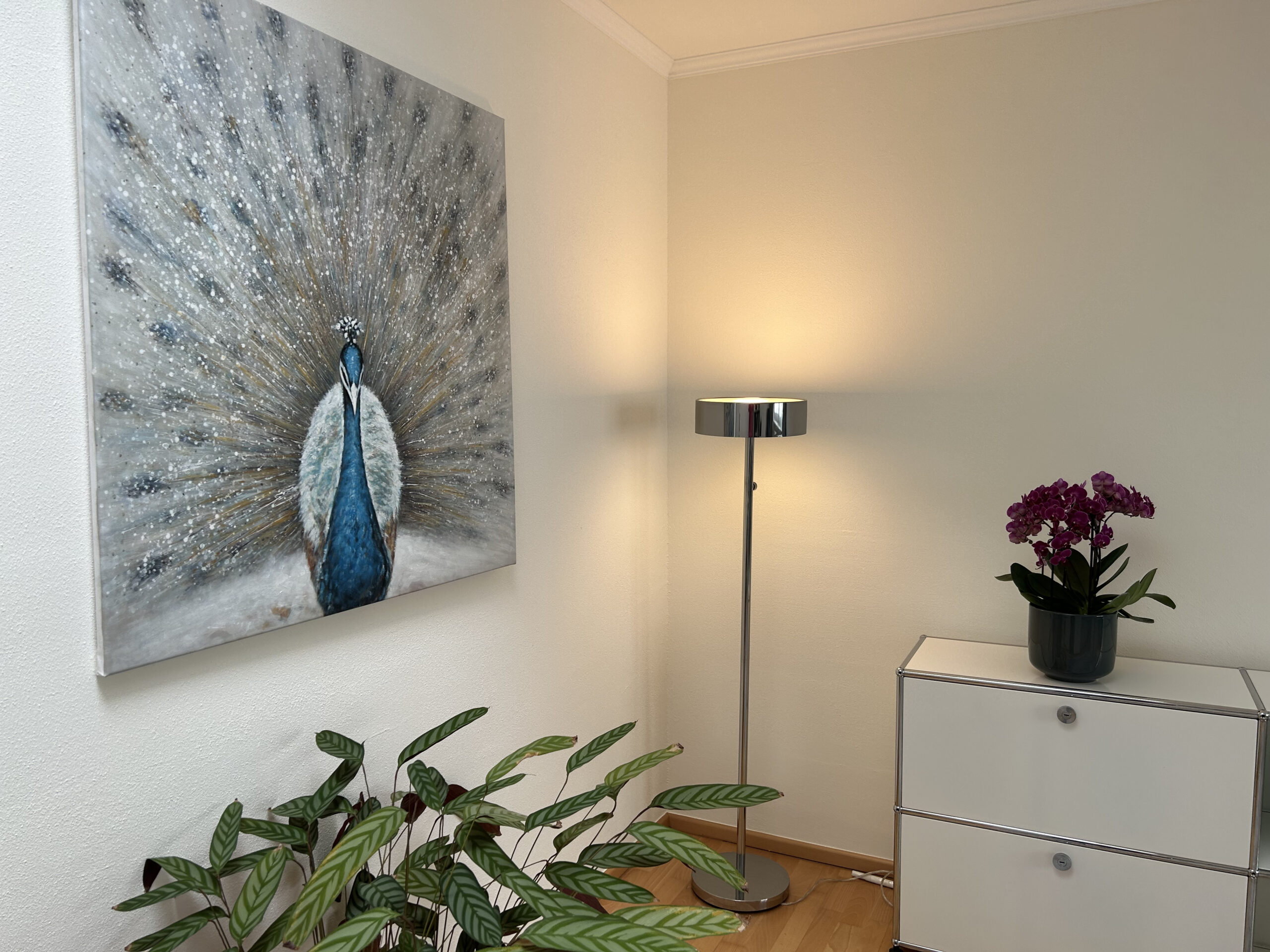 Liebevoll gestalteter Praxisbereich mit Pfauenbild, Pflanzen und indirekter Beleuchtung in der psychotherapeutischen Praxis in Dortmund-Hombruch.